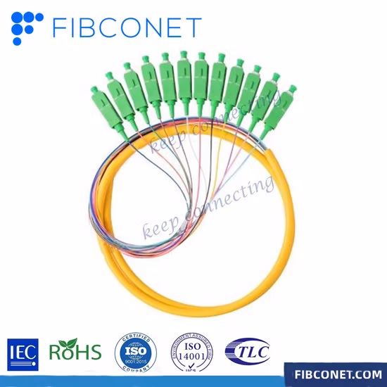 FTTH 12 핵심 광케이블 Sc/APC 싱글모드 광섬유 떠꺼머리